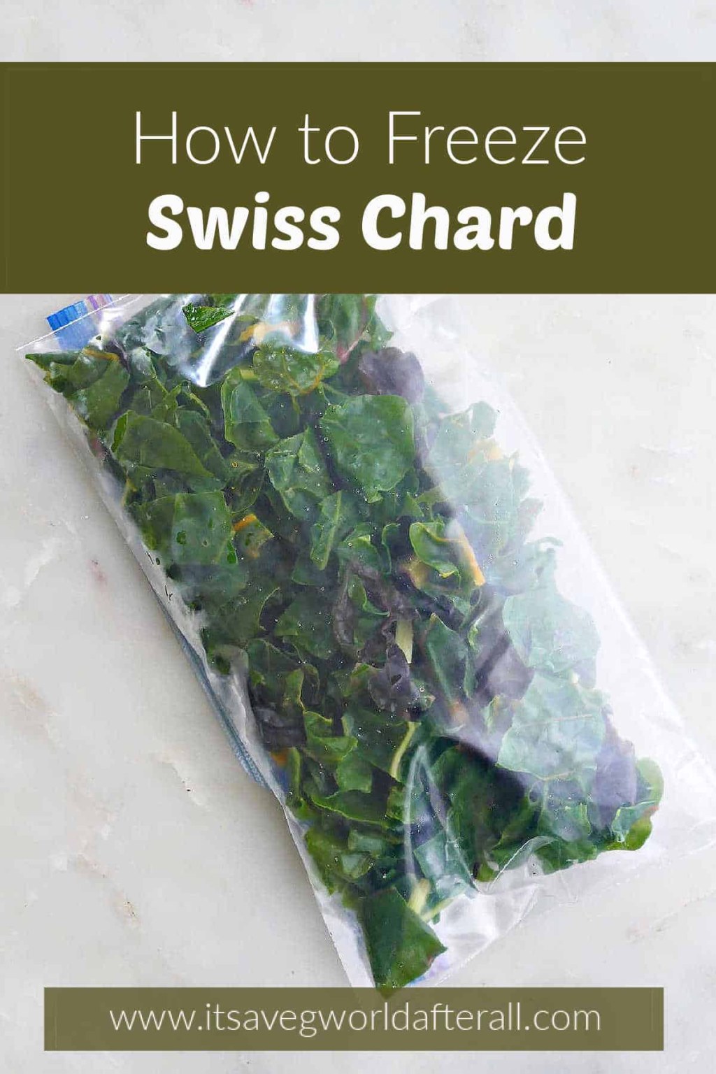 Picture of: How to Freeze Swiss Chard – It’s a Veg World After All®